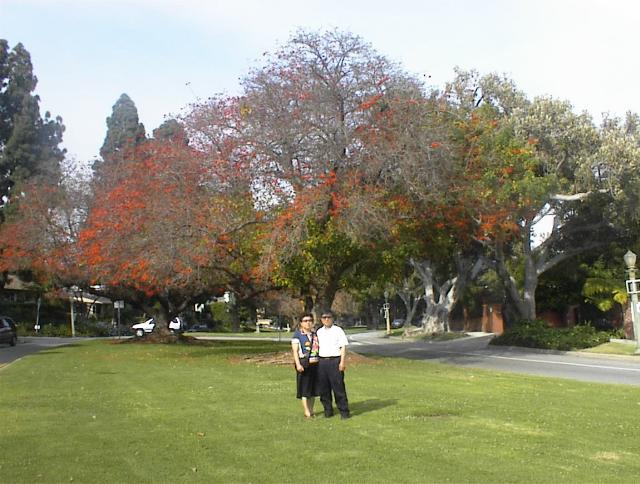 park4.JPG
